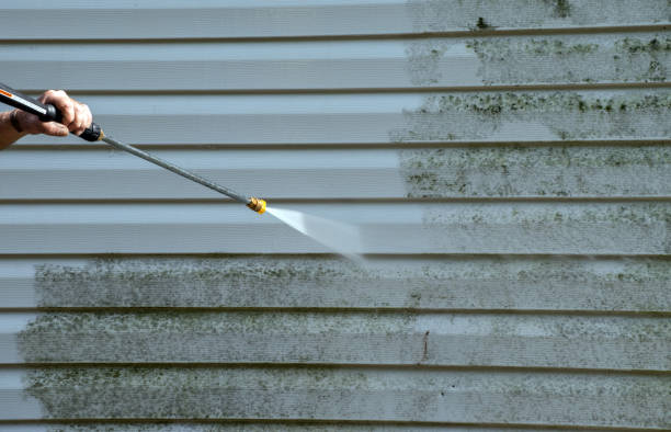 Best Driveway Pressure Washing  in Dry Ridge, KY