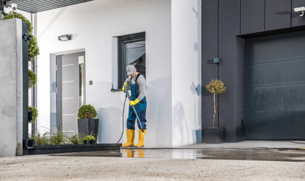Best Roof Washing  in Dry Ridge, KY